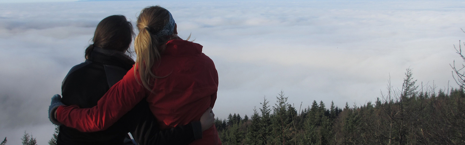 Two students are at a viewpoint in the forest. They are facing away from the camera and hugging each other.